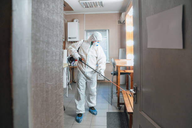 Best Mold Odor Removal Services  in Jasper, IN