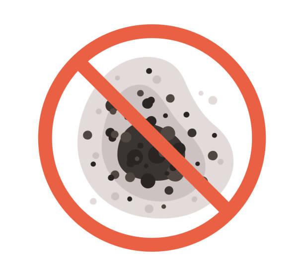 Best Residential Mold Inspection & Testing  in Jasper, IN