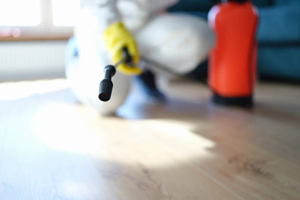 Best Air Quality Testing for Mold Spores  in Jasper, IN