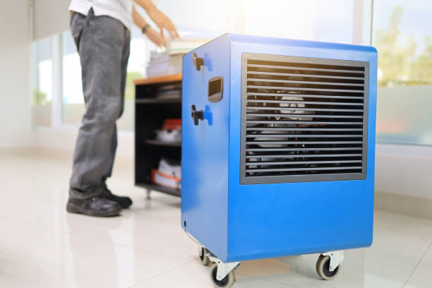 Best Attic Mold Removal  in Jasper, IN