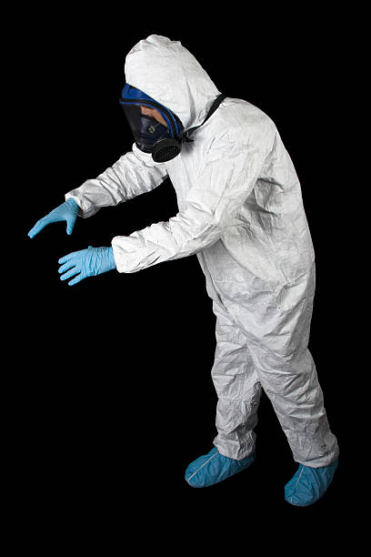 Reliable Jasper, IN Mold Removal Solutions