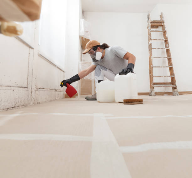 Best Mold Prevention Services  in Jasper, IN