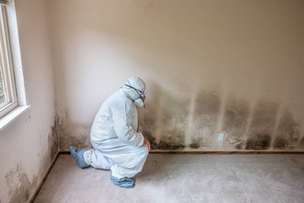 Best Airborne Mold Testing  in Jasper, IN