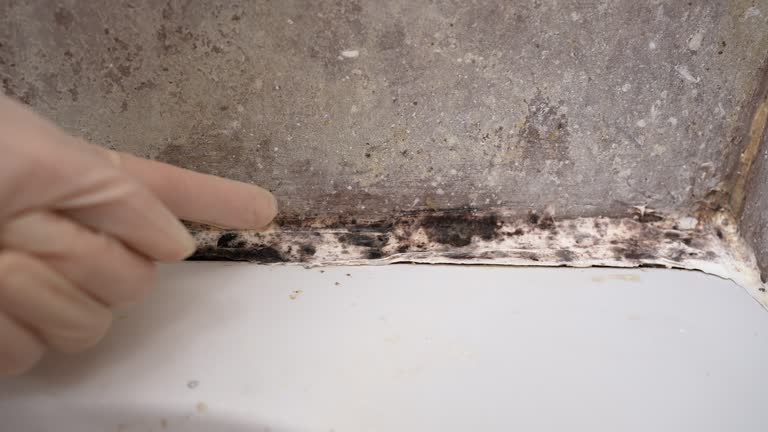 Best Residential Mold Inspection & Testing  in Jasper, IN